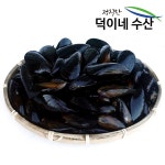 100% 국내산 남해안 싱싱 대합 1K 특가판매 - 샵계부