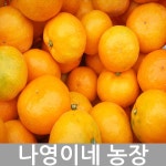 나영이네농장 맛좋은 감귤 봄 하우스귤10kg-꼬마귤 - 샵계부