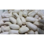 이화농산  작두콩 알 1kg 국내산 - 샵계부