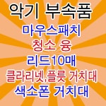 전자색소폰 AEROPHONE AE-10 - 샵계부