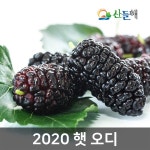 궁궐 오골계 14호 1350g 삼계탕 백숙 무항생제 - 샵계부