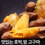 [투데이특가] 호박고구마 10kg(대왕) - 샵계부