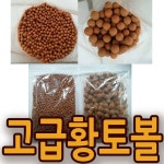 [천지농장] 천년고秀 다정다감 상주곶감 선물용세트 특가판매 - 샵계부