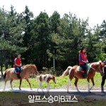 제주 서커스월드(해피타운) 46.7%할인/제주도여행/모바일 할인쿠폰 - 샵계부