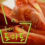             푸른영농조합법인 - 샵계부     샵계부