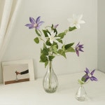 클레마티스 글래스화병 2타입set-바보사랑 바보사랑 디자인쇼핑몰