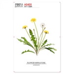 꾸밈인스스티커_민들레-바보사랑 바보사랑 디자인쇼핑몰