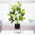 레몬트리 스탠드 화분 82cm - 블랙포트 인조 조화나무-바보사랑 바보사랑 디자인쇼핑몰