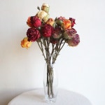 드라이플라워 스타일 자나장미 조화꽃장식(5color)-바보사랑 바보사랑 디자인쇼핑몰