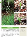 반디앤루니스 인터넷서점