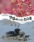 반디앤루니스 인터넷서점 반디앤루니스
