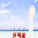  캐논코리아컨슈머이미징㈜ – 마이갤러리  캐논코리아컨슈머이미징