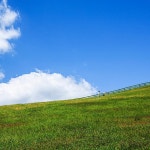  캐논코리아컨슈머이미징㈜ – 마이갤러리  캐논코리아컨슈머이미징