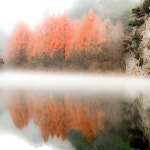  캐논코리아컨슈머이미징㈜ – 마이갤러리  캐논코리아컨슈머이미징