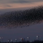  캐논코리아컨슈머이미징㈜ – 마이갤러리  캐논코리아컨슈머이미징