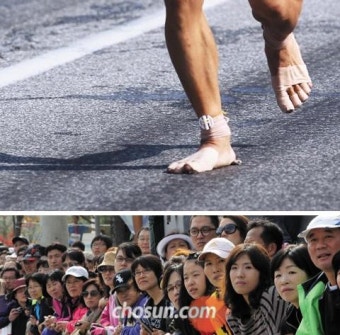 [춘천마라톤] 악몽같은 교통사고도 이들을 꺾진 못했다 - 조선일보 > 스포츠 > 스포츠 일반[춘천마라톤] 악몽같은 교통사고도 이들을 꺾진 못했다