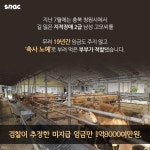 [카드뉴스] 장애인을 착취하는 사람들 -토마토 노예편- - 조선일보 > 스페셜 > 카드뉴스 [카드뉴스] 장애인을 착취하는 사람들 -토마토 노예편-