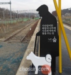 자전거族에 인기있는 능내역… 김유정역·임피역엔 근대 문학 향기 가득... 자전거族에 인기있는 능내역… 김유정역·임피역엔 근대 문학 향기 가득