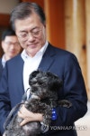 文대통령, 퍼스트 독(dog)으로 유기견 토리 공식 입양 - 조선일보 > 정치 > 청와대 文대통령, 퍼스트 독(dog)으로 유기견 토리 공식 입양