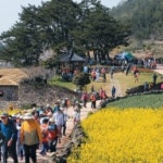 조선닷컴 검색