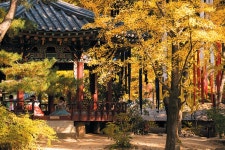 낭만조선 안에서 즐기는 가을 5경 코스 - 조선일보 > 특집섹션 낭만조선 안에서 즐기는 가을 5경 코스