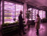 독일 채식 선도자 프로벡을 만나다 - 조선일보 > 사회 > 청년 미래탐험대 100 독일 채식 선도자 프로벡을 만나다