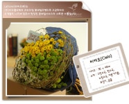 텐바이텐 10X10 : 씨에로(Cielo)_서울/경기일부배송