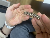 제이로렌 스와로브스키 플라워 헤어 자동핀 H0093 - 에누리 가격비교