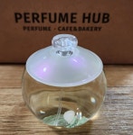까사렐 노아 EDT [100ml] - 에누리 가격비교