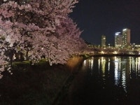   하늘연반 : 소개- Classting 광지원초등학교 6 - 하늘연반 - 클래스팅