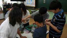   세상을 품어라 : 소개- Classting 화목초등학교 6 - 세상을 품어라 - 클래스팅