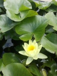   욜로반 : 소개- Classting 서울신암초등학교 6 - 욜로반 - 클래스팅