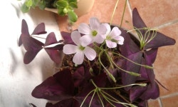   9반 : 소개- Classting 양운중학교 3 - 9반 - 클래스팅