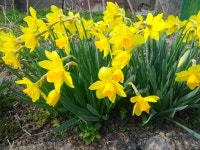   7반 : 소개- Classting 서울난향초등학교 1 - 7반 - 클래스팅