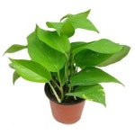   4반 : 소개- Classting 시곡중학교 2 - 4반 - 클래스팅