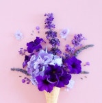   슬기 : 소개- Classting 서울잠동초등학교 1 - 슬기 - 클래스팅