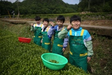   꿈을 키우는 행복한 5-1반 교실 : 소개- Classting 미력초등학교 5 - 꿈을 키우는 행복한 5-1반 교실 - 클래스팅
