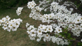   4 : 소개- Classting 서울천동초등학교 2 - 4 - 클래스팅