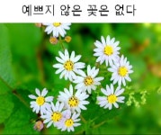   1 : 소개- Classting 입북초등학교 5 - 1 - 클래스팅