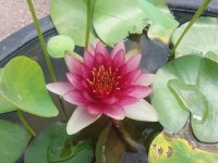   은대초 학부모회 : 소개- Classting 은대초등학교 은대초 학부모회 - 클래스팅