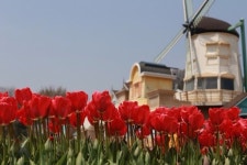   4 : 소개- Classting 서울서교초등학교 2 - 4 - 클래스팅