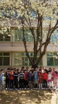   2반 : 소개- Classting 인천만수초등학교 2 - 2반 - 클래스팅