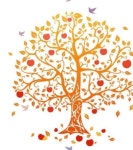   매화반 : 소개- Classting 심석초등학교 5 - 매화반 - 클래스팅