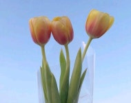   3반 : 소개- Classting 인천문학초등학교 1 - 3반 - 클래스팅