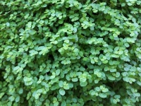   1반 : 소개- Classting 대전용산초등학교 1 - 1반 - 클래스팅