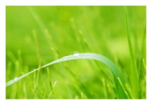   1 : 소개- Classting 여흥초등학교 2 - 1 - 클래스팅