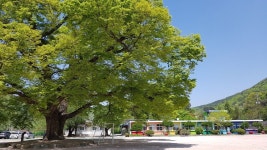   1 : 소개- Classting 상북초등학교소호분교장 1 - 1 - 클래스팅