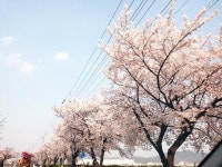   같이가치 함께하는 4학년 1반 : 소개- Classting 도척초등학교 4 - 같이가치 함께하는 4학년 1반 - 클래스팅