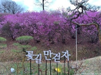   1반(아람누리) : 소개- Classting 서울수락초등학교 3 - 1반(아람누리) - 클래스팅