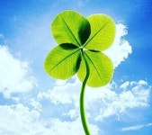  4🍀 : 소개- Classting 서울송화초등학교 2 - 4🍀 - 클래스팅